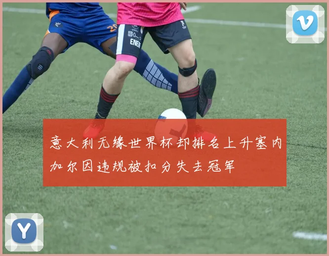 意大利无缘世界杯却排名上升塞内加尔因违规被扣分失去冠军