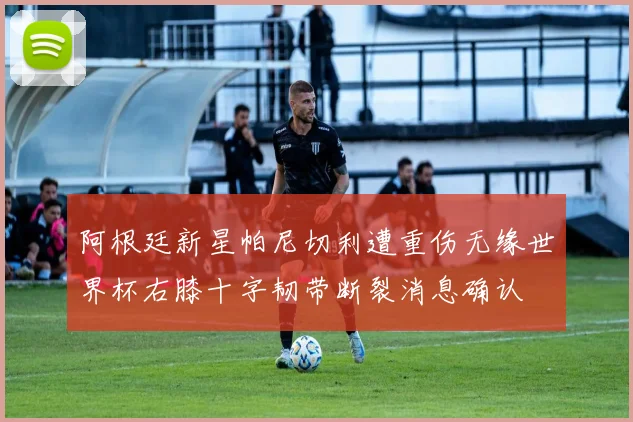 阿根廷新星帕尼切利遭重伤无缘世界杯右膝十字韧带断裂消息确认